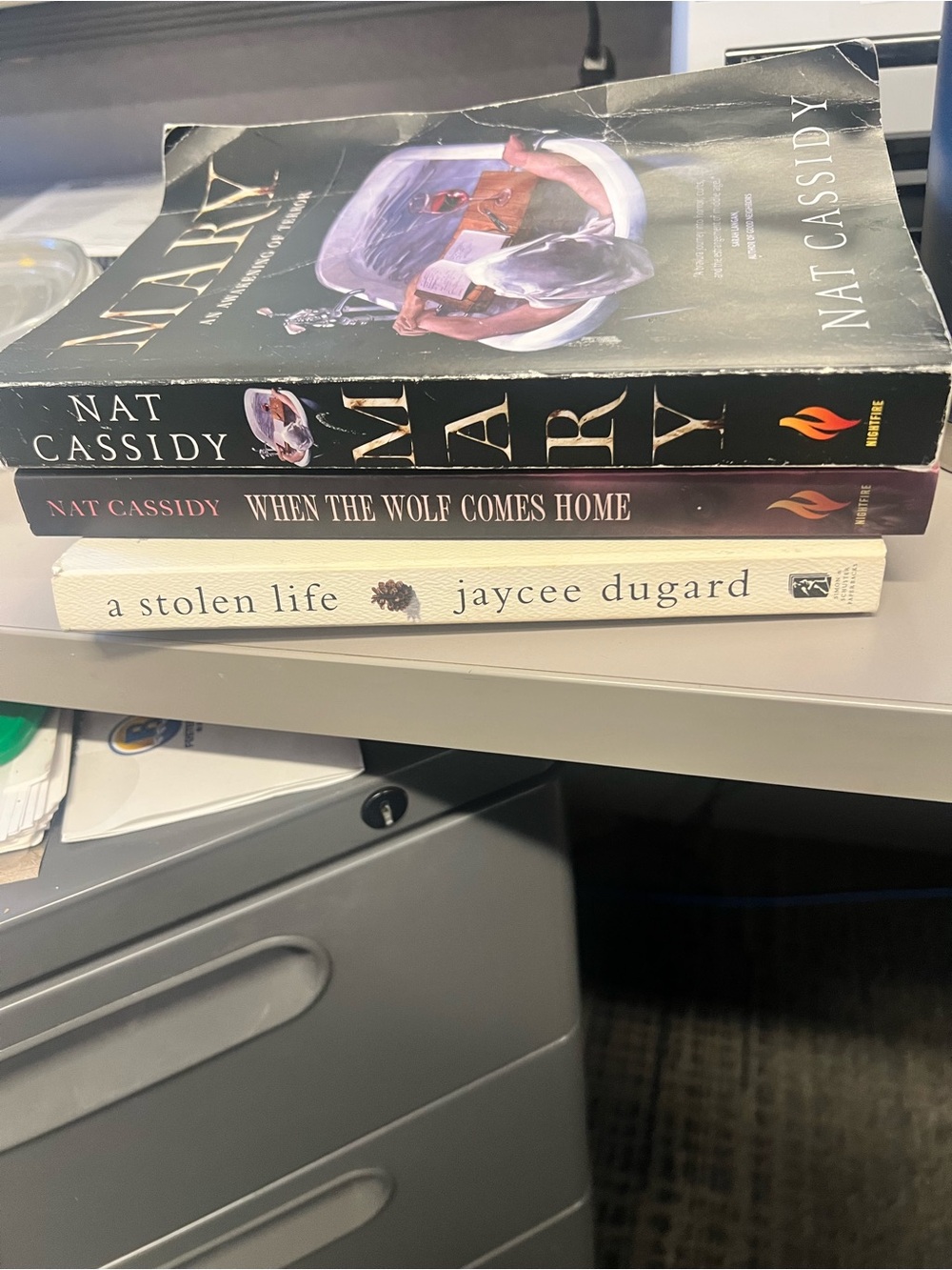 Stack of 3 Paperback Books - 'Mary', 'When the Wolf Comes Home', 'A Stolen Life'